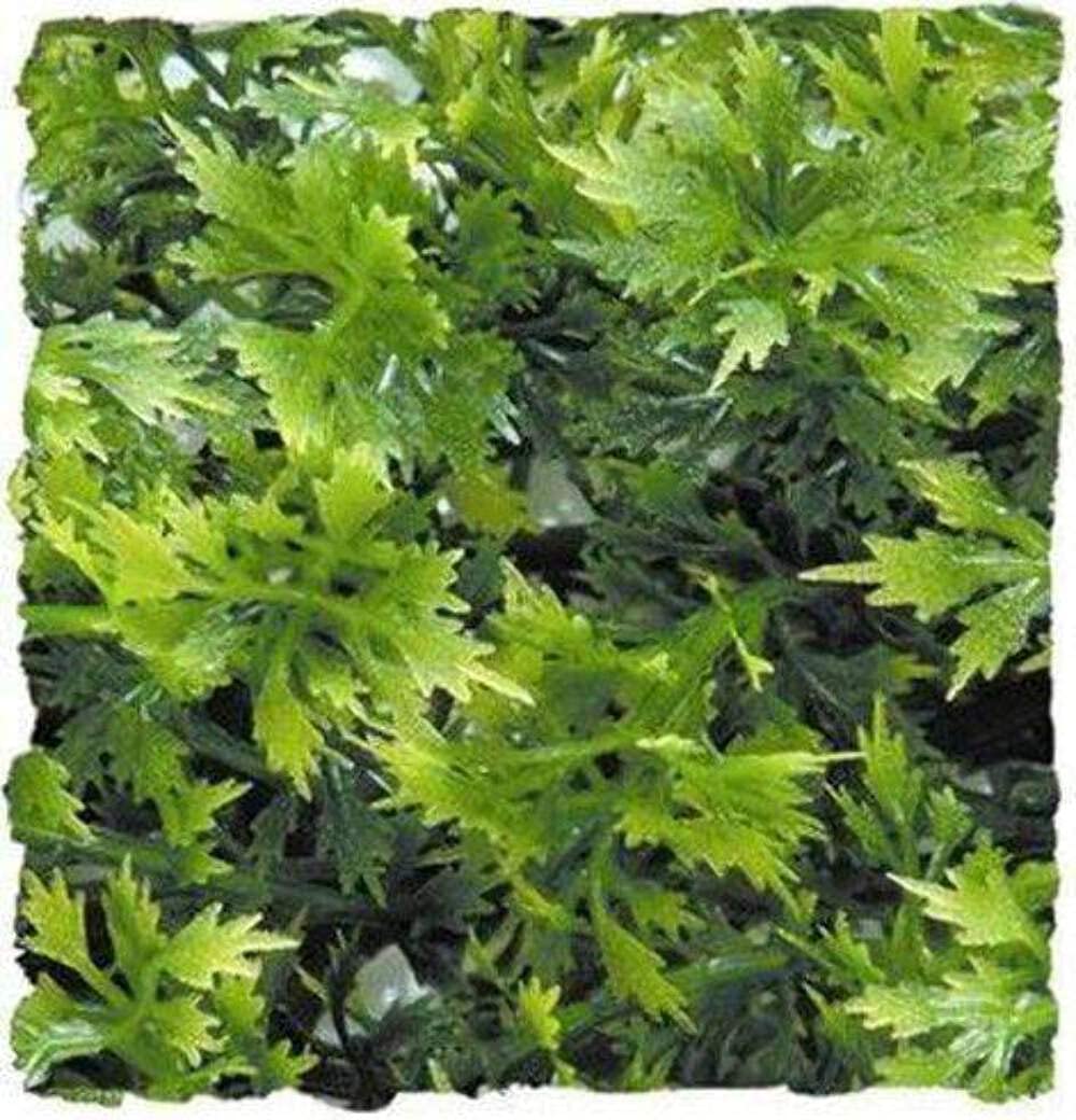 habitat/enclosure accessories
